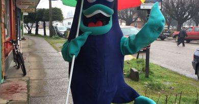 Barrio Comercial Entre Fiordos busca nombre a su mascota Barrio Comercial Entre Fiordos busca nombre a su mascota