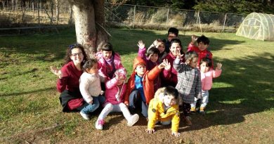 Jardines Infantiles de Integra promueven la inclusión educativa en la Primera Infancia Jardines Infantiles de Integra promueven la inclusión educativa en la Primera Infancia